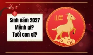 Sinh con năm 2027 – Đinh Mùi, mệnh Thiên Hà Thủy: Gợi ý màu gạch, sơn tường và nội thất hợp phong thủy cho bé trai và bé gái