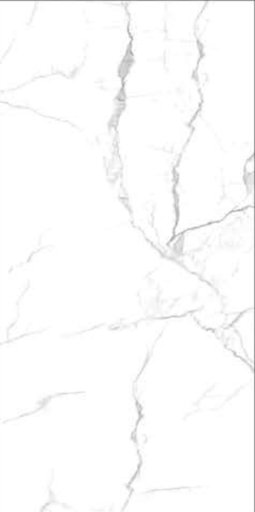 CONVETED | ECO-RC-61209